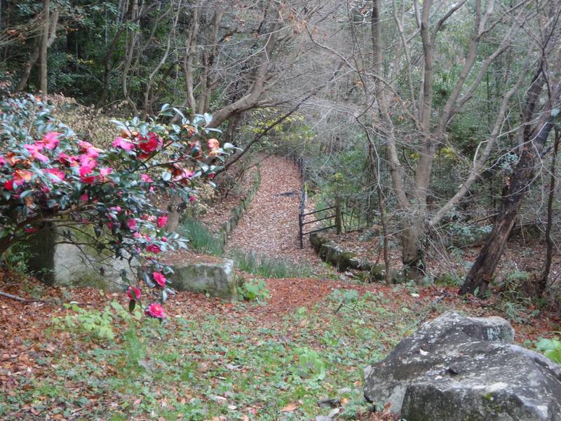 2025-12_SEITA5.jpg(124753 byte)